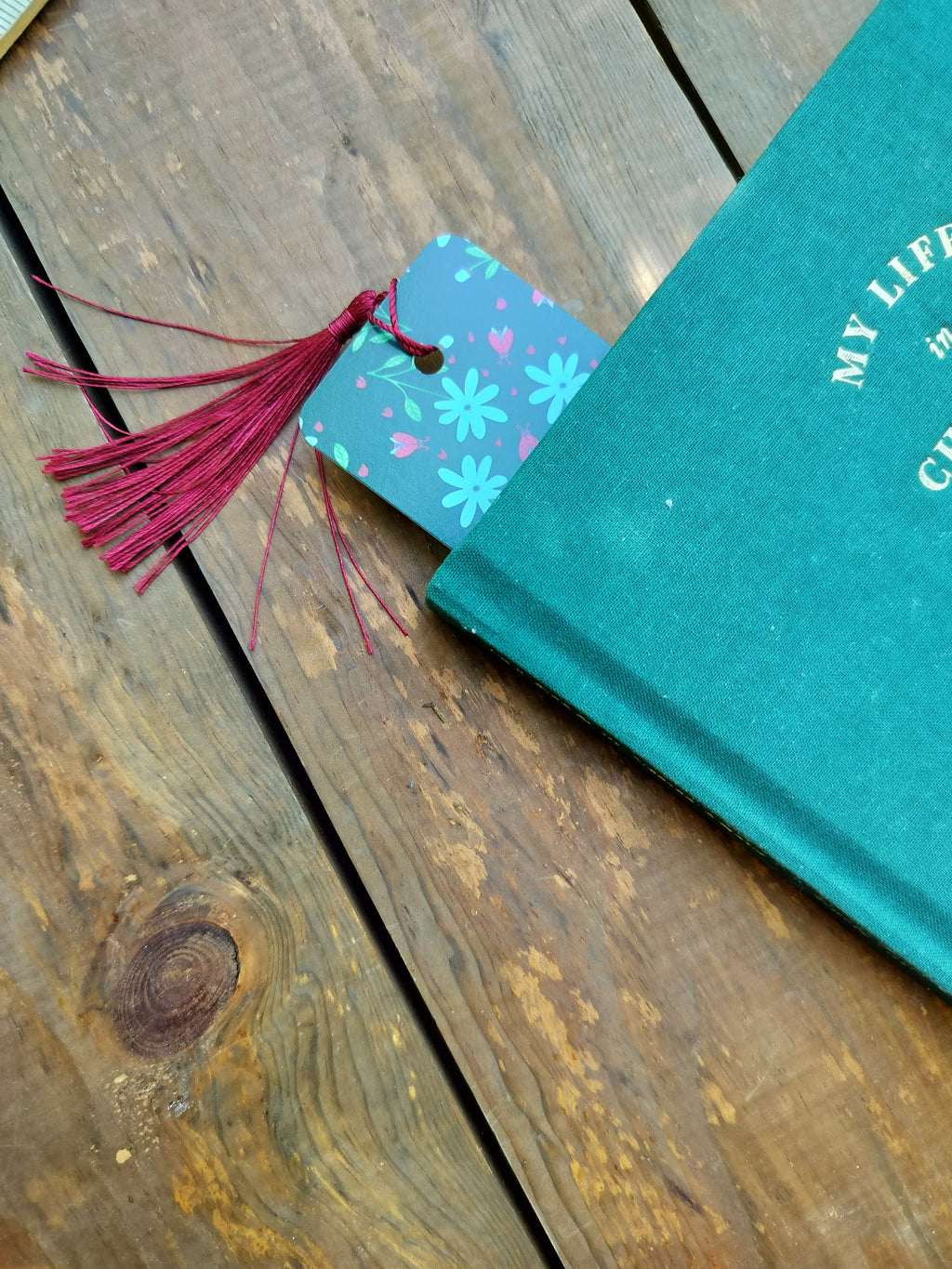 Ladybug Bookmark