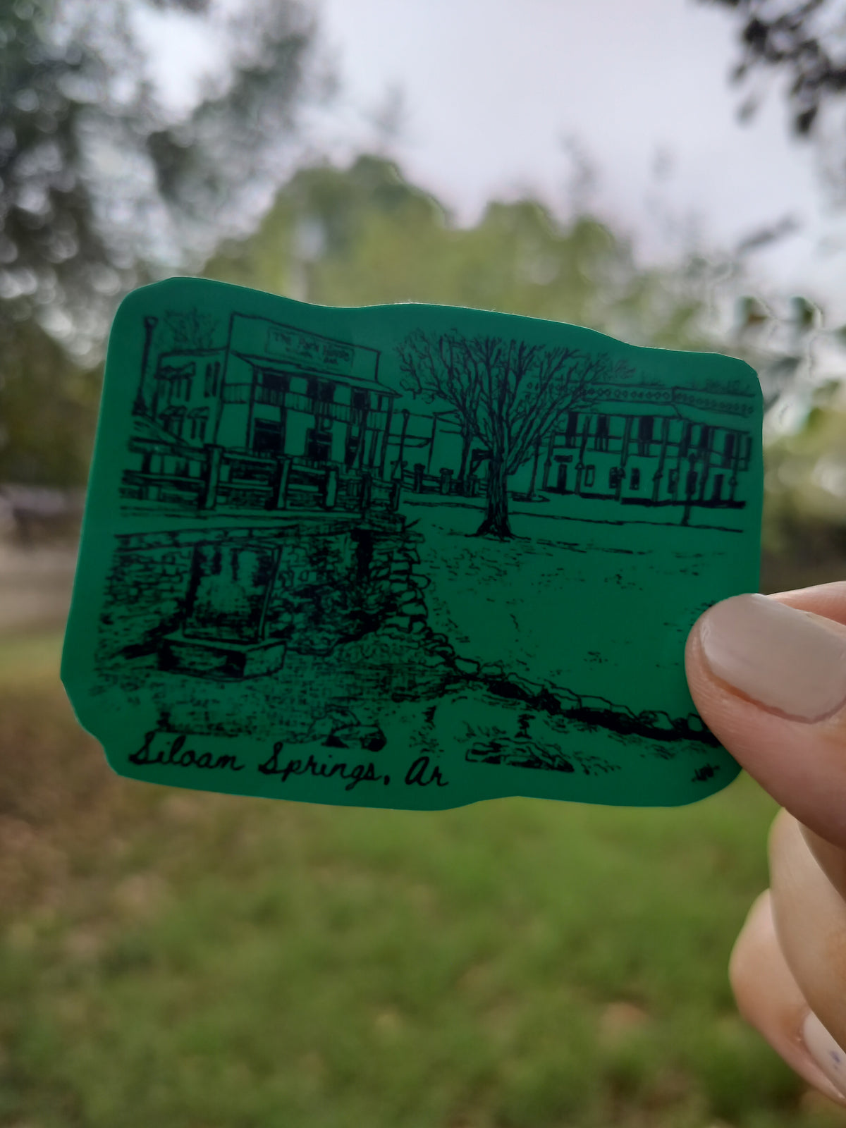 Park House Vinyl Sticker: Downtown Siloam Springs, AR